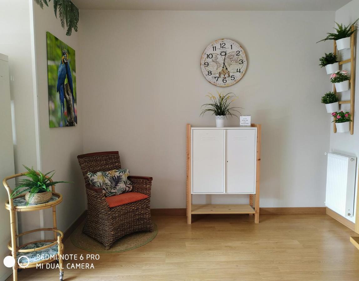 Bermeo Y Urdaibai - Parking-Ascensor - Wifi - Tranquilo Apartamento Exterior foto